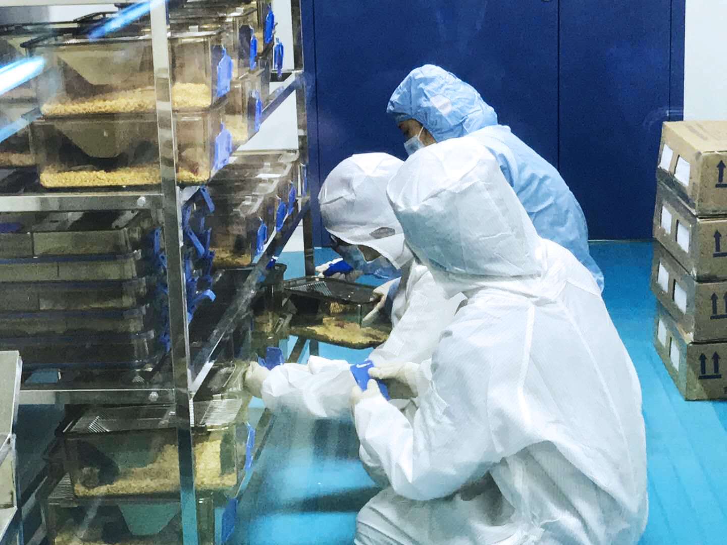 腾博会诚信为本,专业服务!生物饲养动物