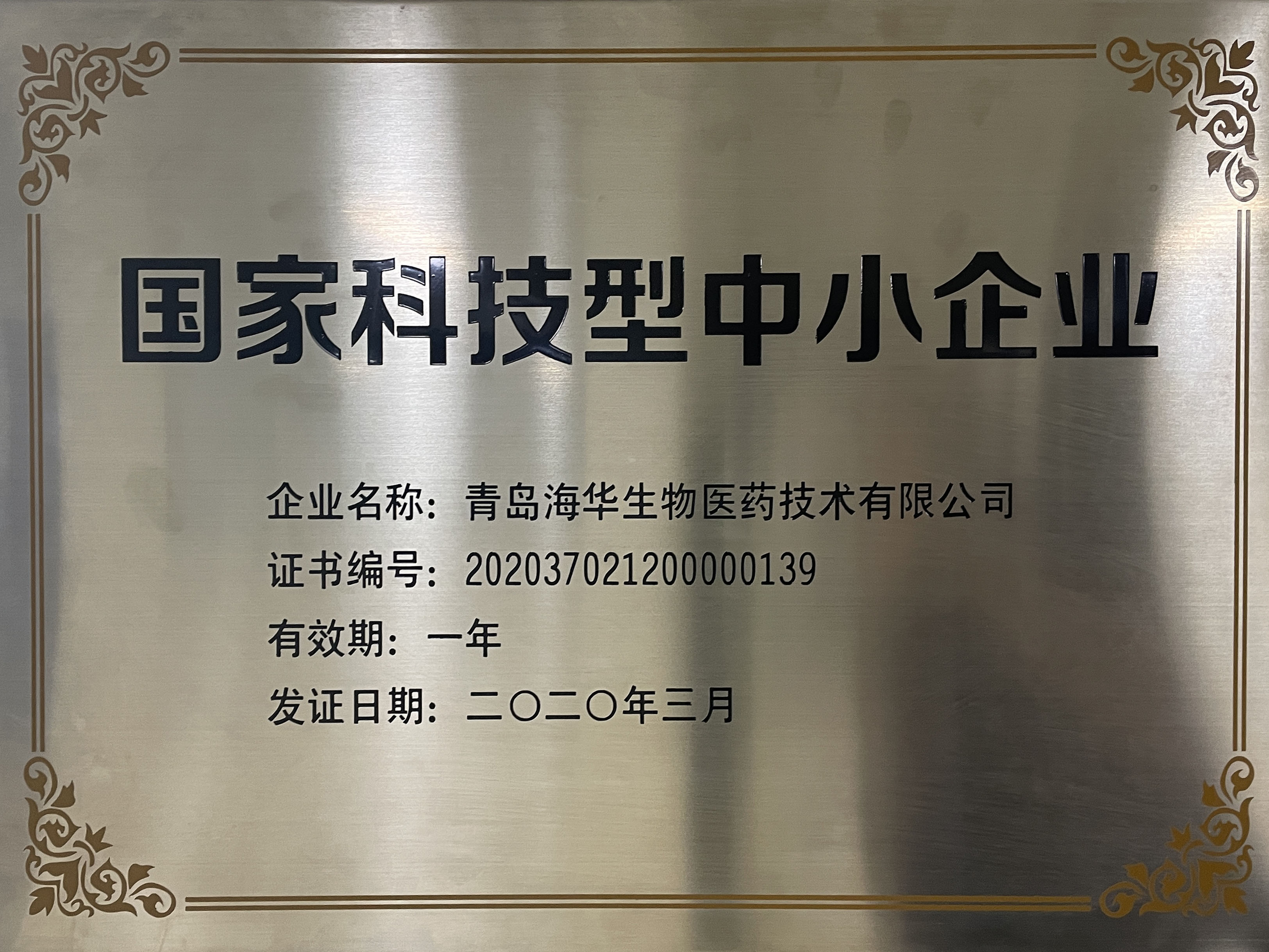 国家科技型中小企业 国家科技型中小企业