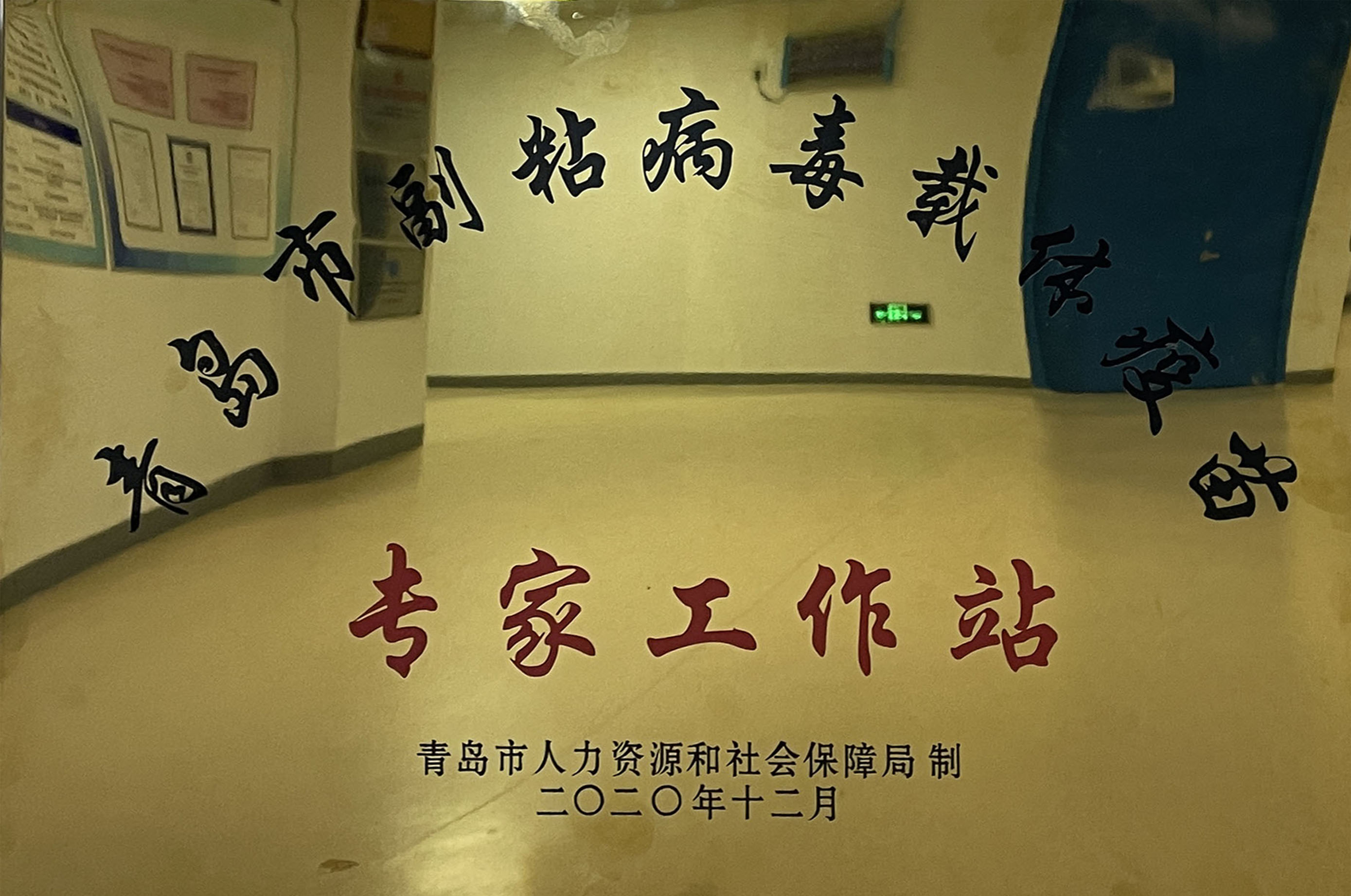 副粘病毒载体疫苗专家工作站 副粘病毒载体疫苗专家工作站