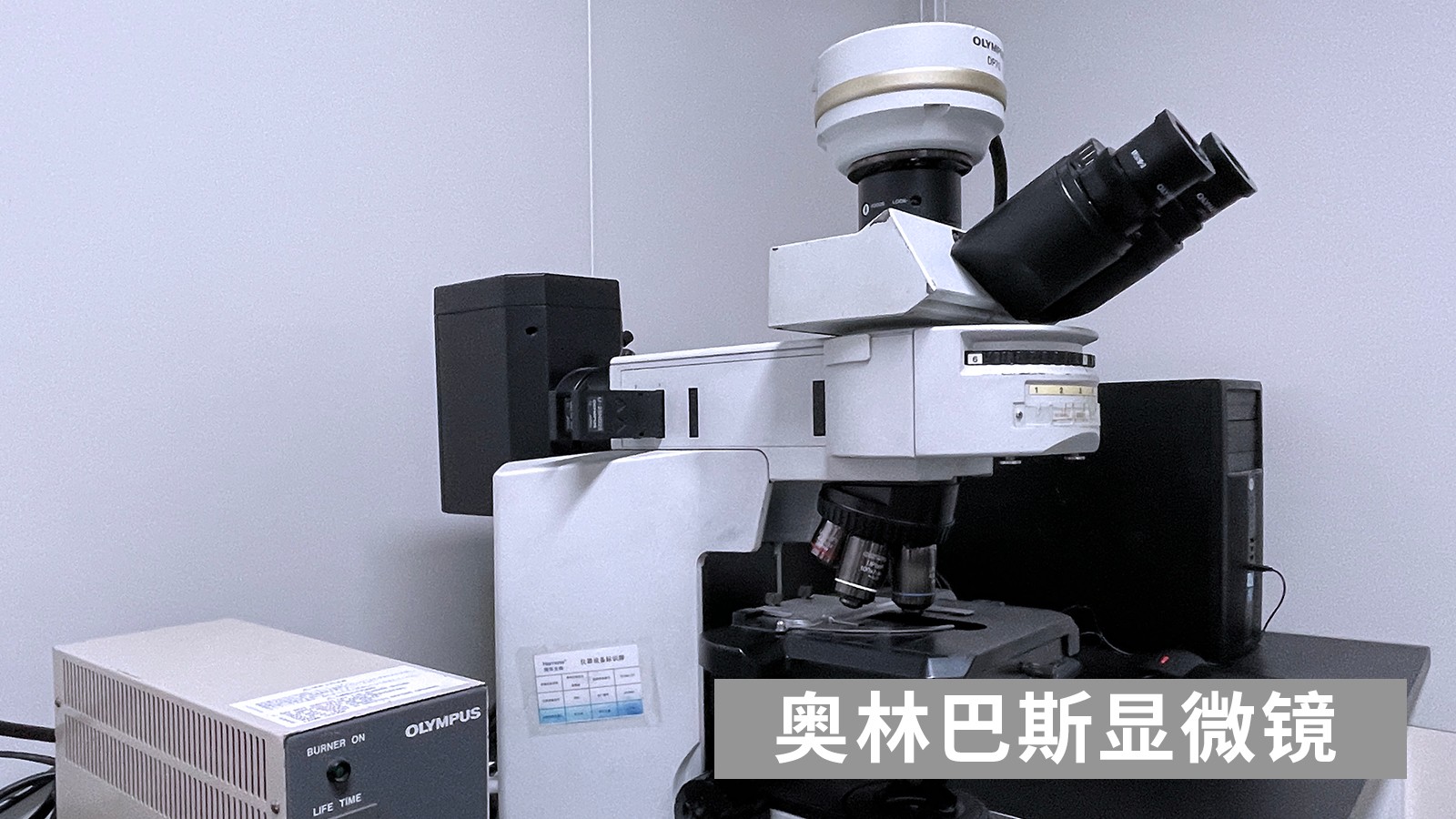 腾博会诚信为本,专业服务!生物